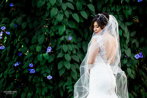trash the dress