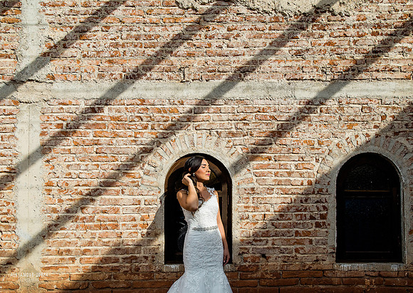 trash the dress