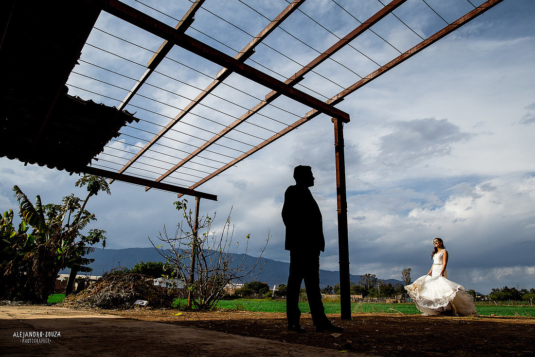 trash the dress