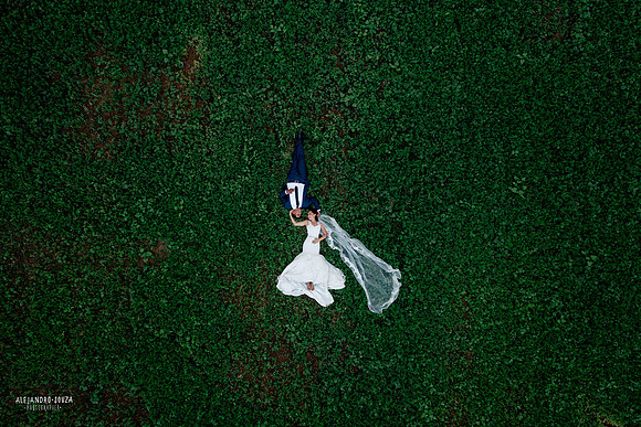 trash the dress