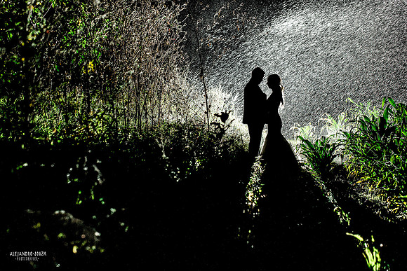 trash the dress