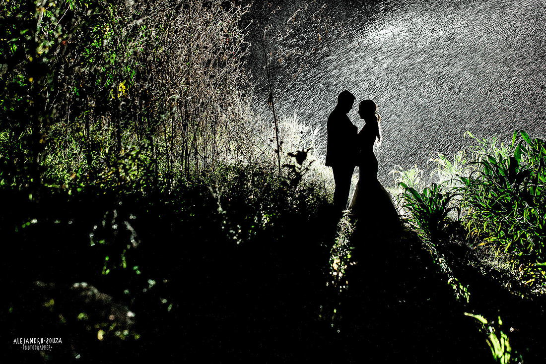 trash the dress