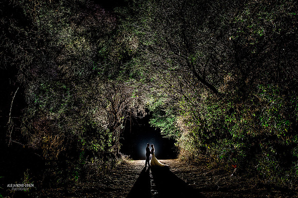 trash the dress