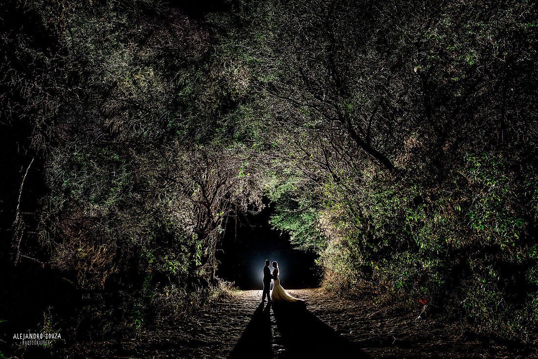 trash the dress