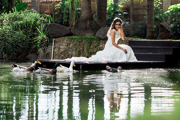 trash the dress