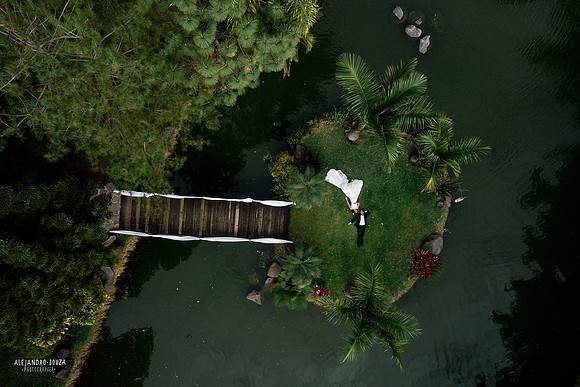 trash the dress