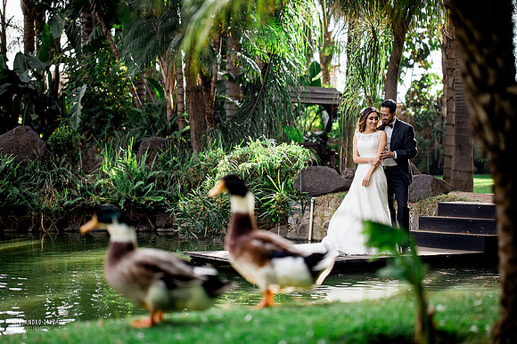 trash the dress