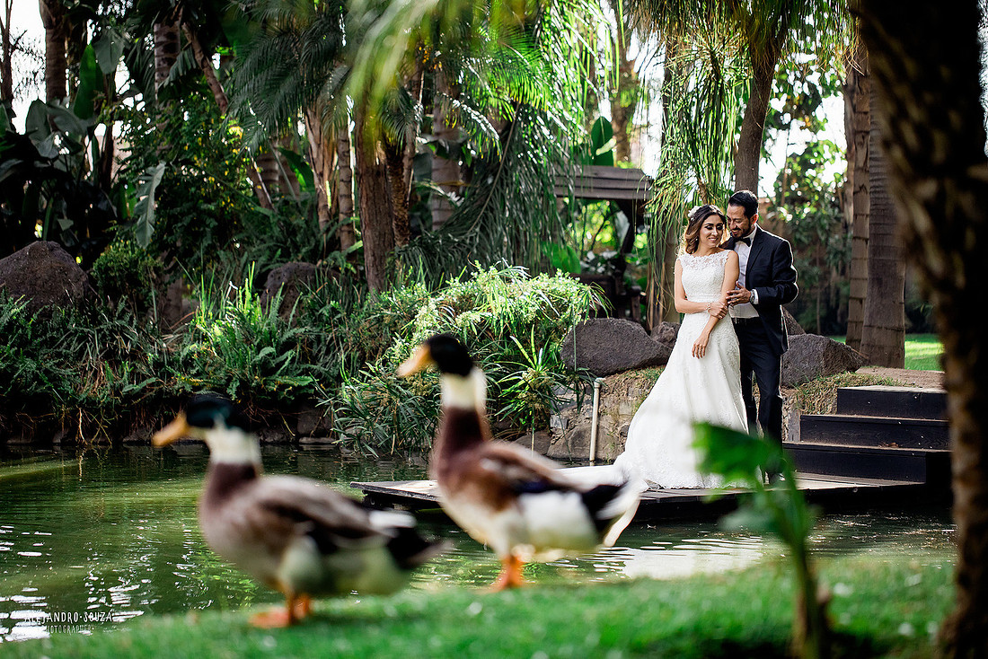 trash the dress