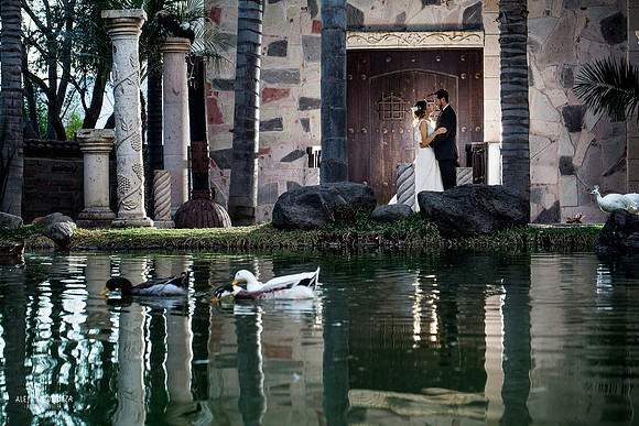 trash the dress