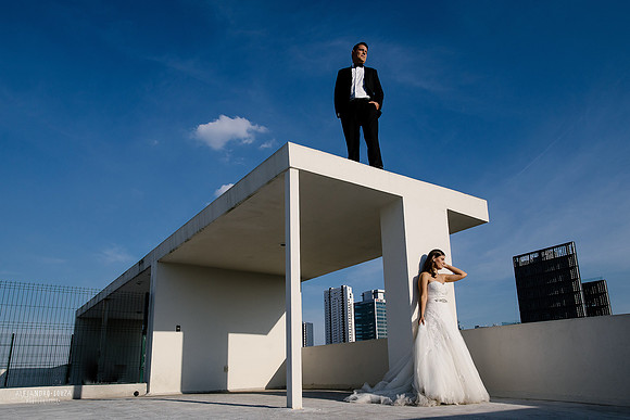 trash the dress