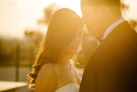 trash the dress