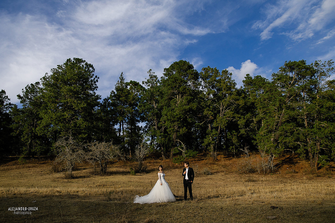 fotografo bodas guadalajara