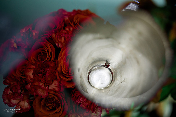 bodas ocotlan