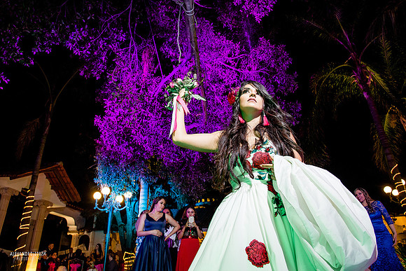 bodas ocotlan