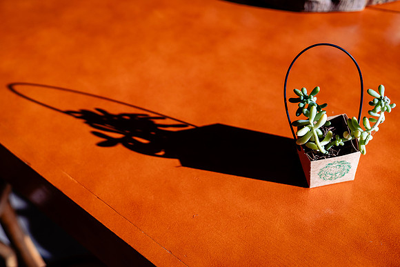 fotógrafo de bodas guadalajara