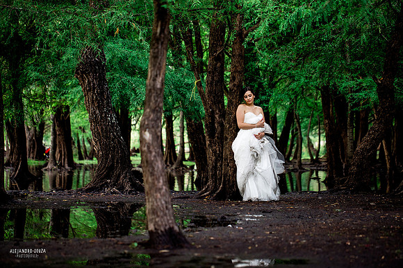trash the dress