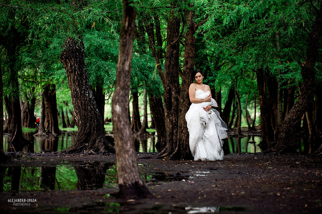 trash the dress