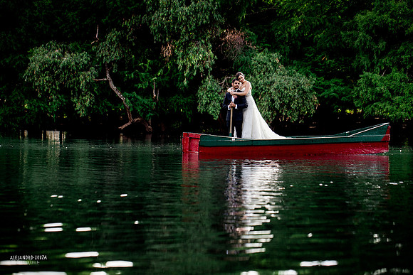 trash the dress