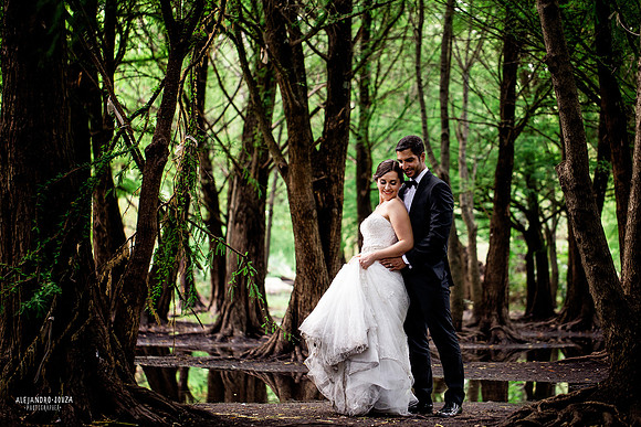 trash the dress