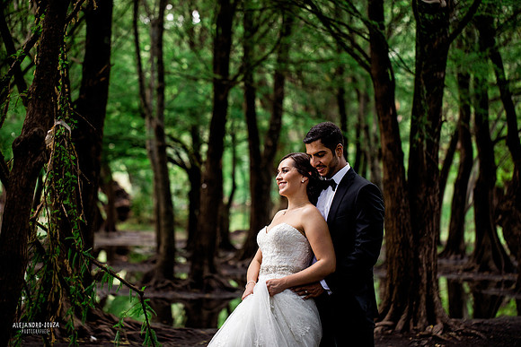 trash the dress