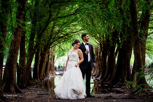 trash the dress