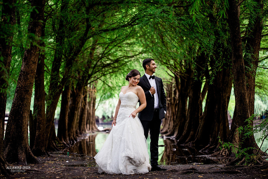 trash the dress