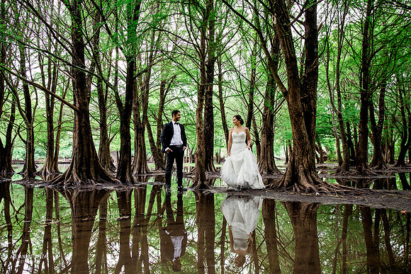 trash the dress