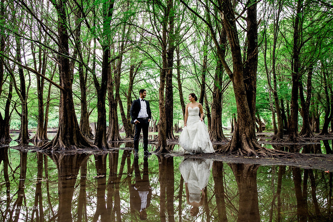trash the dress