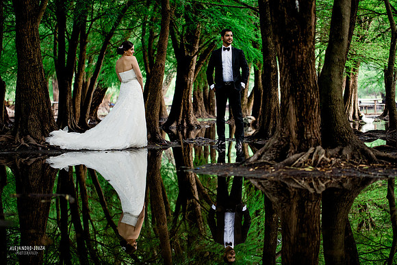 trash the dress