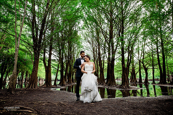 trash the dress