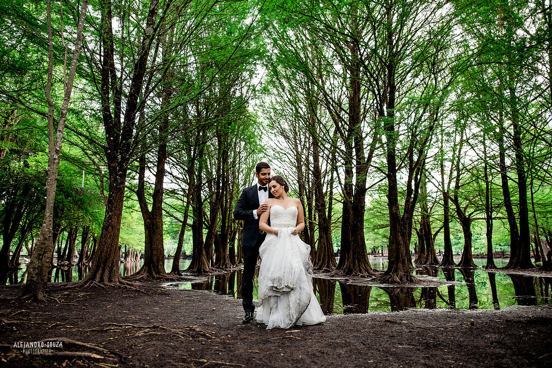 trash the dress