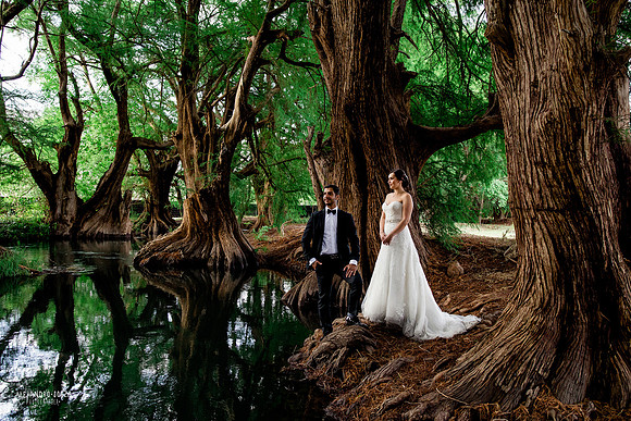 trash the dress