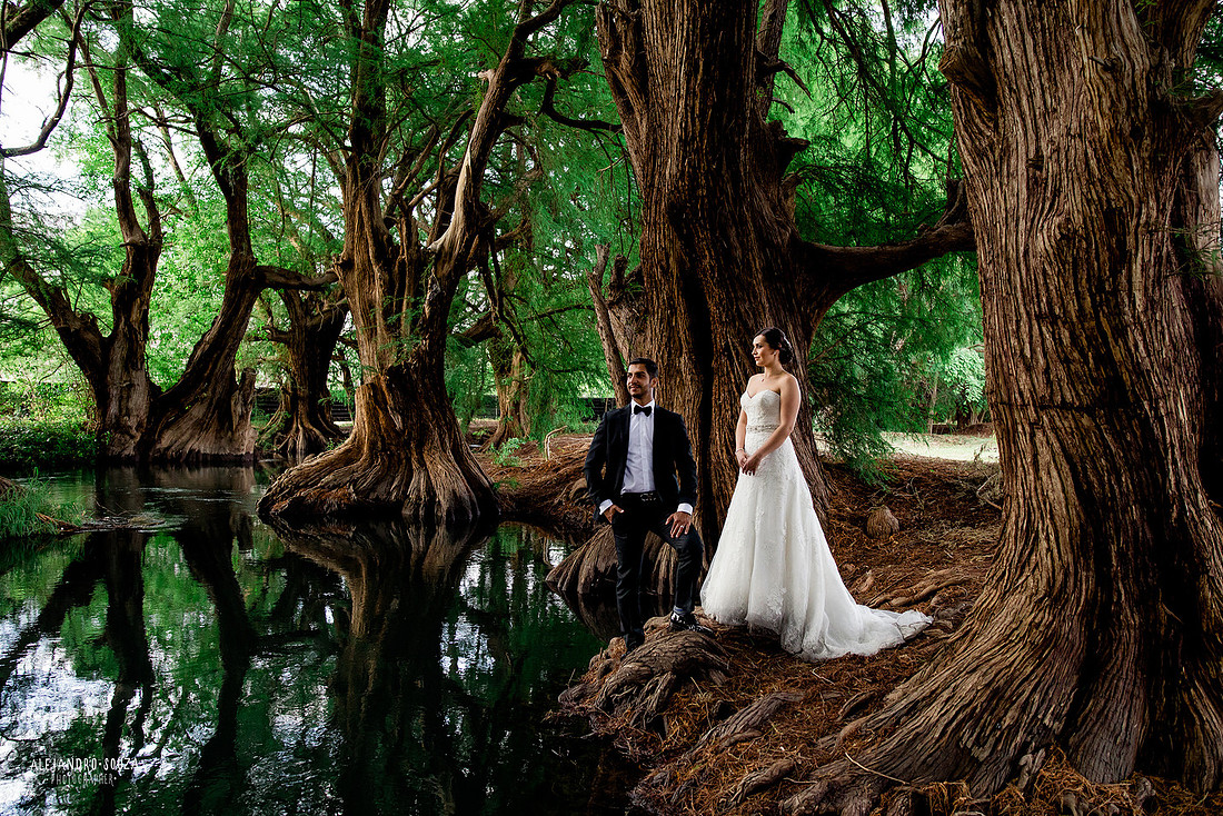 trash the dress