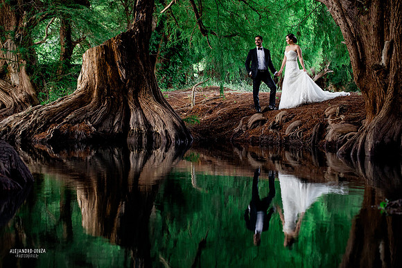 trash the dress