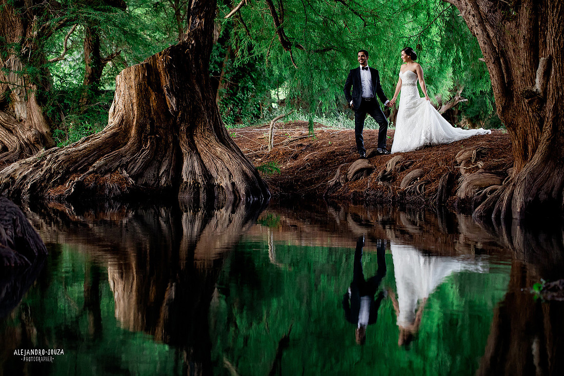 trash the dress