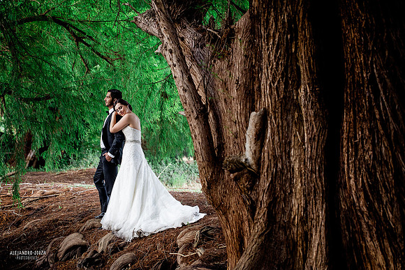 trash the dress