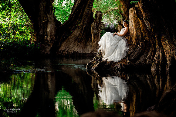 trash the dress