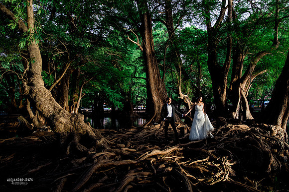 trash the dress