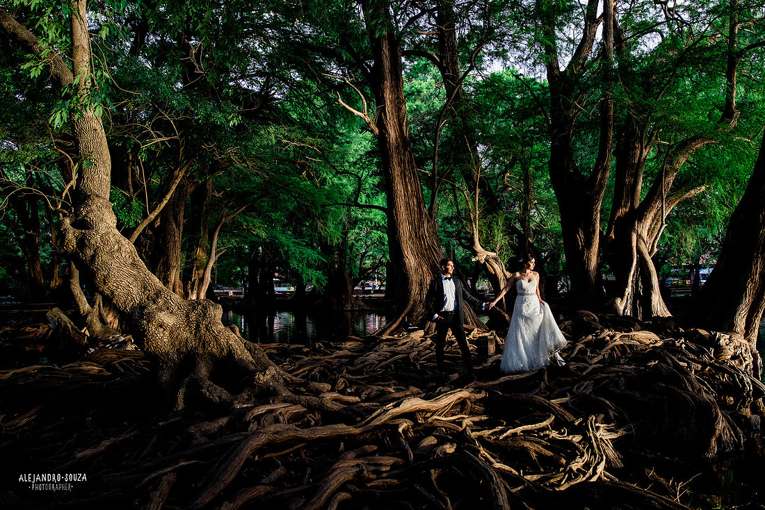 trash the dress