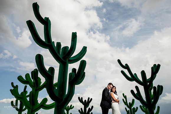 trash the dress
