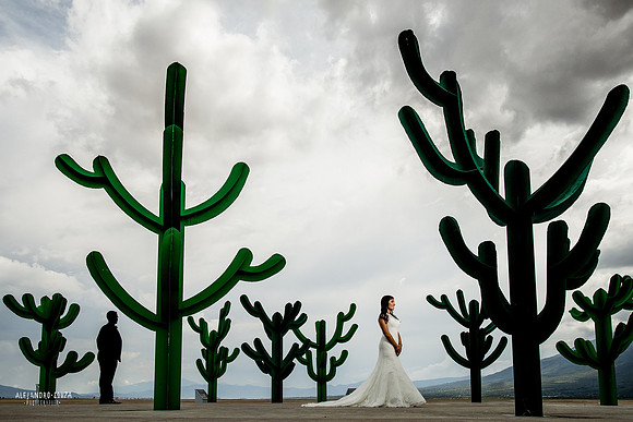 trash the dress