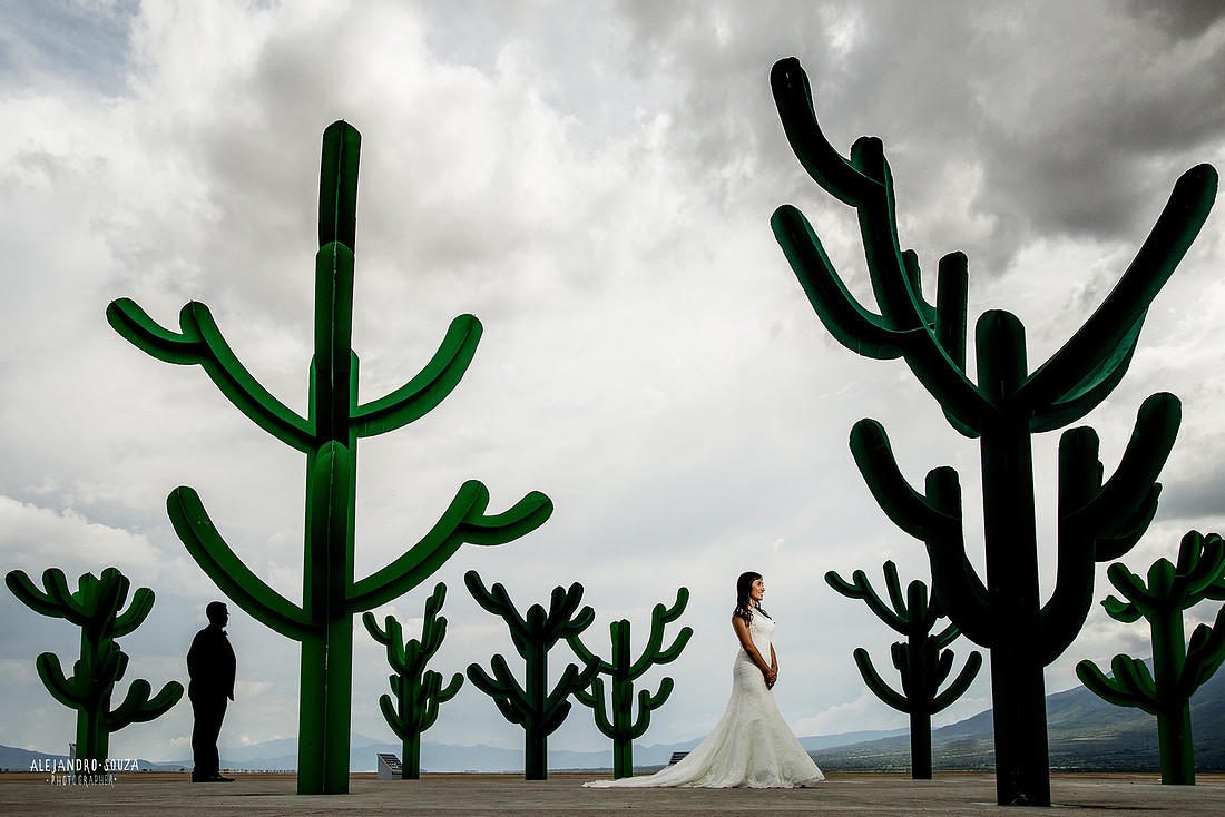 trash the dress
