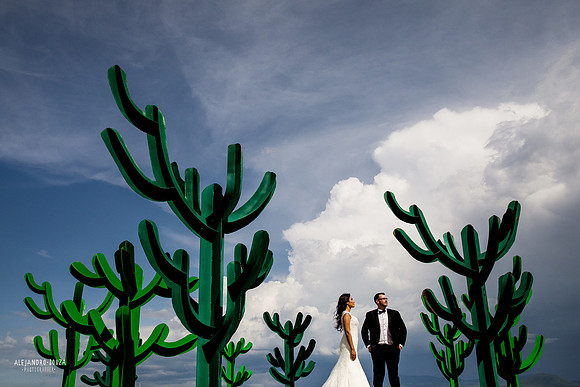 trash the dress