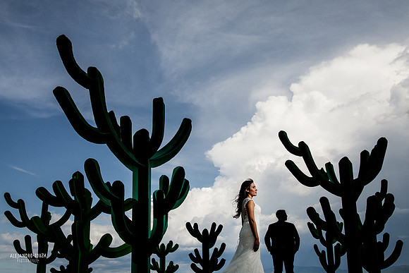 trash the dress