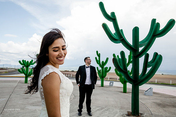 trash the dress