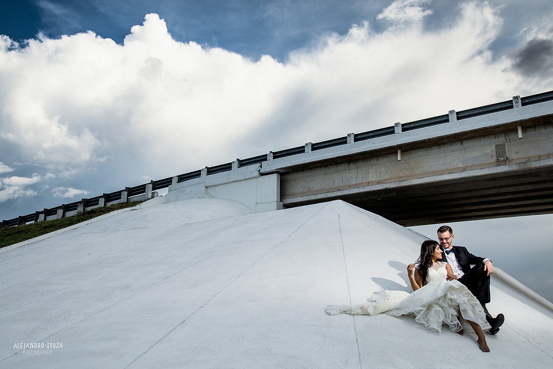 trash the dress