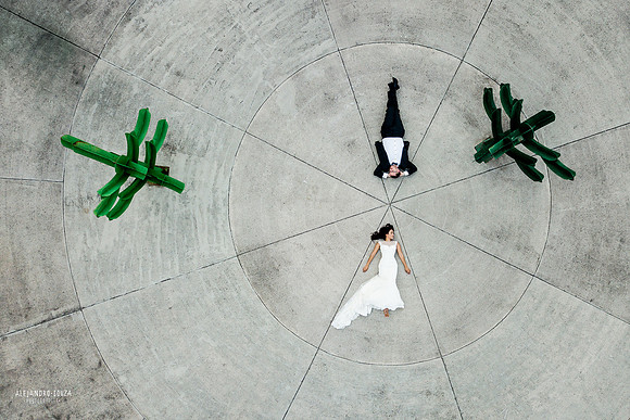 trash the dress