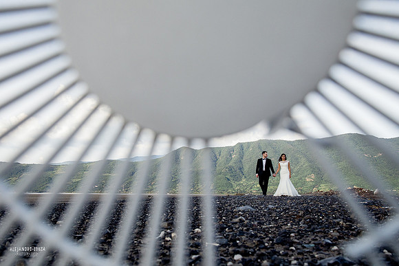 trash the dress