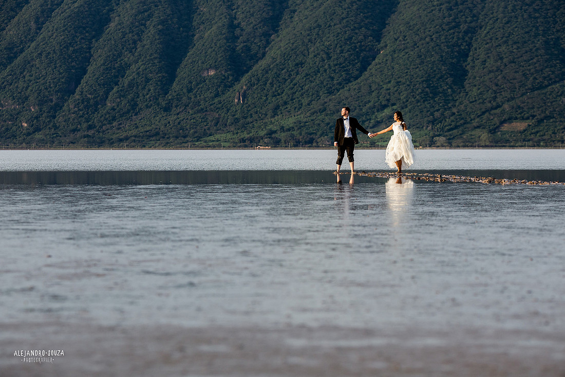 trash the dress