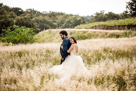 trash the dress